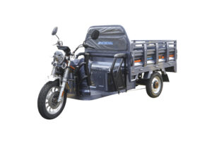 Mondial Tigray Max