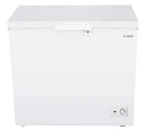Uğur UED 250 D/S R65